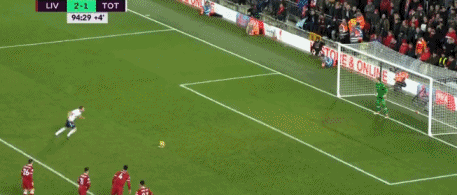 厄德高谈晋级世界杯：这种感觉无法用语言形容，简直疯狂至极